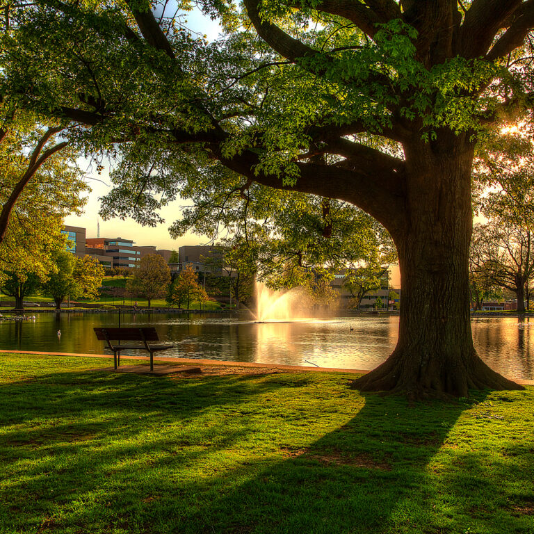 1400 Broadway 
Cape Girardeau, Missouri 
Photo Taken on April 26, 2014  Golden hour sunlight illuminates the foot path circling the pond at Capaha Park in Cape Girardeau, Missouri.   The smooth pond surface reflects the golden light.   Long shadows extend from the trees to the end of the image. 
Cape Girardeau Missouri